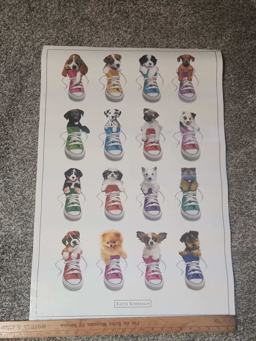 22x34 Keith Kimberlin Puppies in Colorful Sneakers Art Print Poster.